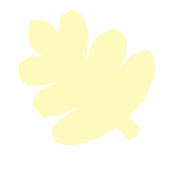 Butter Yellow